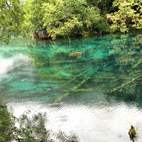 ֪�����������������