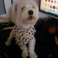 ��������Ȯ��������  ������  ���񳪸�ʱ