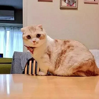 ����˲�䡿����˵������С�����Ⱦ�û��ô������