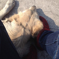 ���˼ҵĽ�ë