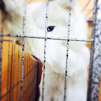 ���Һ��ҵĳ����Ч������Ϧ���ŵ�����ȥ������~