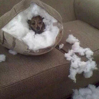 ǧ����������˵�ֻ�ڼң�����......