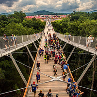 ������������ �й���ͯ��������ͯ�Ӿ�����