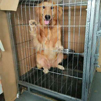 ����С���������֪�����Ⱦ�֪��Ц