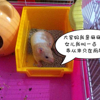 ��������������Ů����