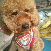 ������ҳ�����ҵİ������������˱�������