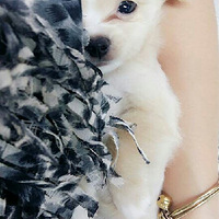 19¥�������¹���  ���ں�Ʒ�֣���Ϊ��Ե��