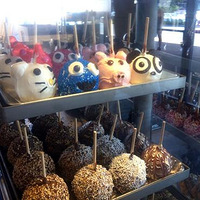 ��Ϊһ�����ݵ���ѧ����ȴ��Canada����ʳ������