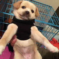 ���������������Ķ����𣿱�����һ��Ѫ