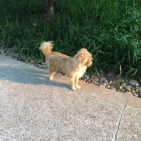 ����Ǯ������ ��ë��