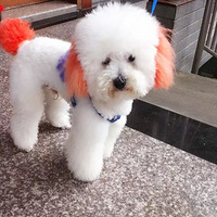 ɹɹ�Ҽҵ��϶�