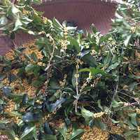 ���ƹ������������úȶ��ҿ��Ա��������ζ����