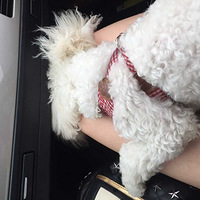 ���ų����Լ���+Amy�������֮��