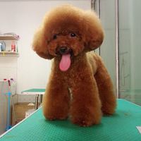 ɹһ���Ҽҵ�~����~һ��ճ�˵�С����