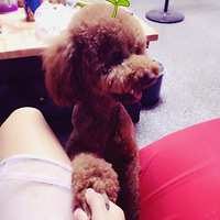 ʱ������ʱ������������ͬѧ