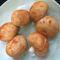 ��Ģ����С�������һ��СĢ�����ӡ���