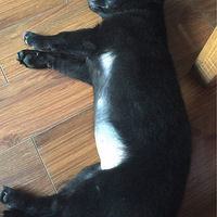 ɹ�޴��� �ʹ����ɼ���