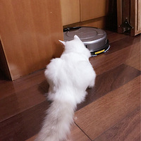 ����ô������͵�����ɨ�ػ�����?��զ����