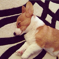 �»���˯����ʱ�� ��һ����С��ʹ�ĸо�