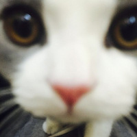 Barton���������������¡�