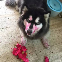 ���ҵĻ����������£���������