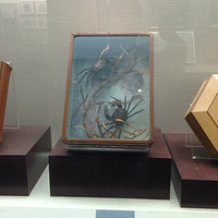 [�����]����������ʡ�����