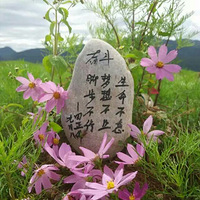 ǰ���쿴�����ؼ���˵:��ʹ�㵽���յ�Ĳ�