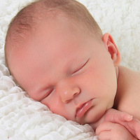 ���г��ڳ�ʲô���ſ������ҳԣ�