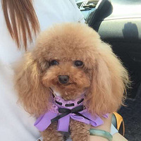 �þ�û�������������ˡ������пշ�һ��