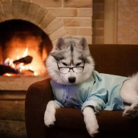 ����һֻ����ˣ˧�������ȵĹ�ʿ��