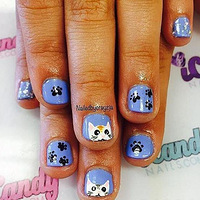 14��èС������ͼ�� ����ָ��������