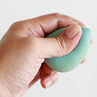 ��ױ���඼ժ�������� �㿴�Ű�