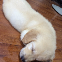 ���Ҽҵ�·�� �������ӡ�