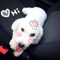 ���˵��һ���˺�����
���˵���ڼ����ǵ�