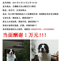 ����ԪѰ������Leo�������������ɣ�������ͷ���ڵ㡱ͼ��