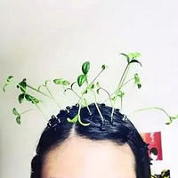 ��ô����ͷ�ϴ��� ��ר�ң���������ԭ����