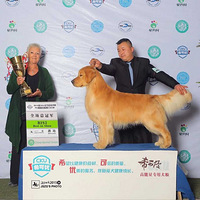 һת��40�����