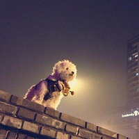 ������̶�ʮ������������֮�䣬cooper~~_~~