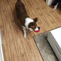 ���ȵ����������ˣ�������Ҫ����