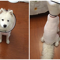 �ܸ��������㣲