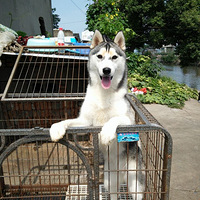 ������������ɳ������пվͷ���