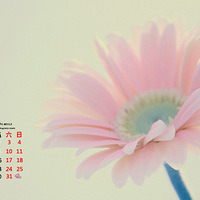 2015��10��������ֽ