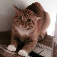 ���ǵ�һ��