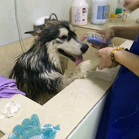 ��ͷ����ͷ��һ��������ˣ��