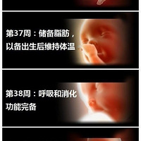 ��̥��1~40�ܵķ���������40�ܣ��������ֶ���ʵ����̫ǿ���ˣ�