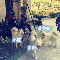 �ܸ��������� 3333333