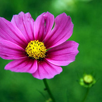 �Ҹ���֮��