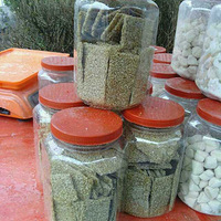 ���۾ô��м���+��ͳ��ѿ��