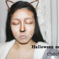 С��Ĳ�ױ��������������ʥ���Ա�ױ