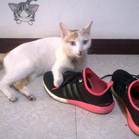 ����Ь�㡿+һ��������Ů��